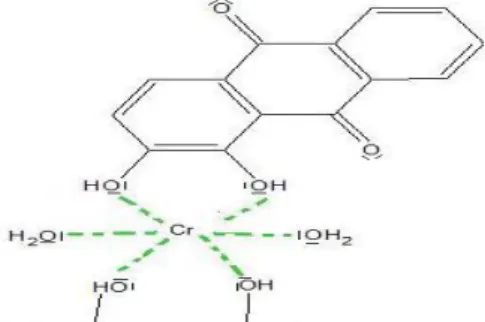 Figure I.12 : Exemple des colorants réactifs[24]. 