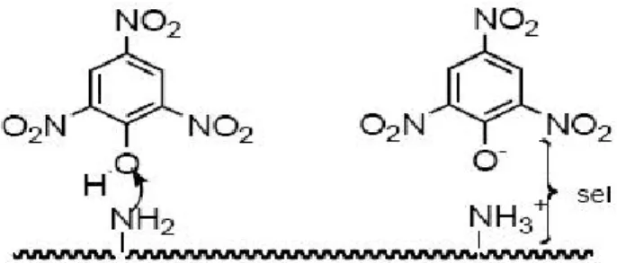 Tableau  I.2 :  Les  principales  caractéristiques  physico-chimiques  du  Bleu  de  méthylène  [27]