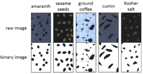 Figure 2.2:  Example of raw and binary images of grains.
