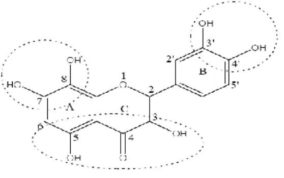 Figure  04  :  Les  caractéristiques  structurelles  des  flavonoïdes  avec  une  activité  élevée  de  piégeage des radicaux libres (Amić et al., 2003)
