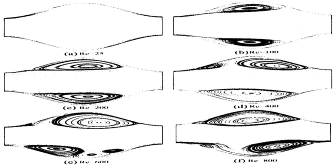 Figure 1.22: Évolution des écoulements secondaires avœ (Re).