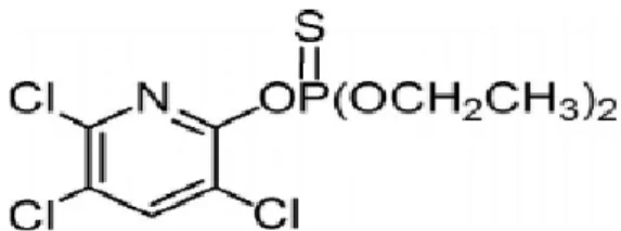 Figure 03 : Formulation générale de chlorpyrifos (Eissa et al., 2014). 