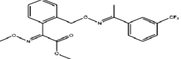 Figure 05 : Formulation générale du trifloxystrobine (Cahill, 2000). 