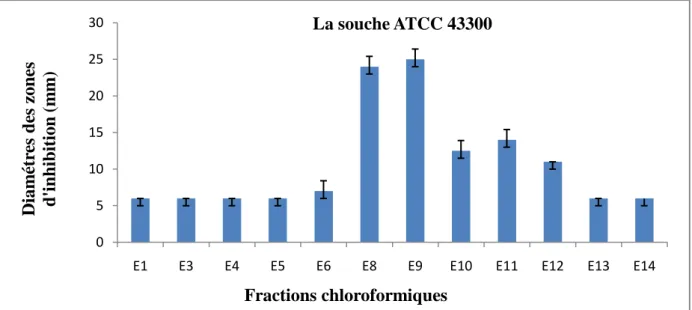 Fig. 7 :  Résultats de l'activité antibactérienne des fractions chloroformiques contre la souche ATCC  43300