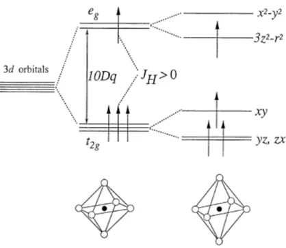 Figure I-13 : Levée de dégénérescence dans un champ cristallin et effet Jahn Teller [30]
