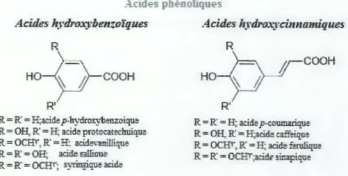 Figure 1 : Structure des acides  phénoliques(Pereir~  2009) 