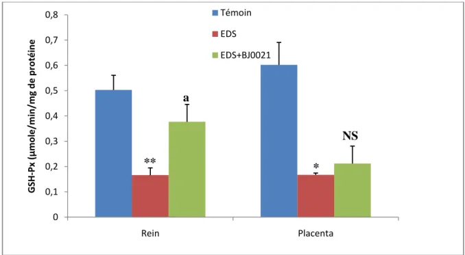 Figure  08  :  Variations  de  l’activité  enzymatique  de  la  GPx  cytosolique  rénale  et  placentaire après administration orale de l’endosulfan (4mg/kg) seul, ou en association  avec le probiotique (BJ0021)