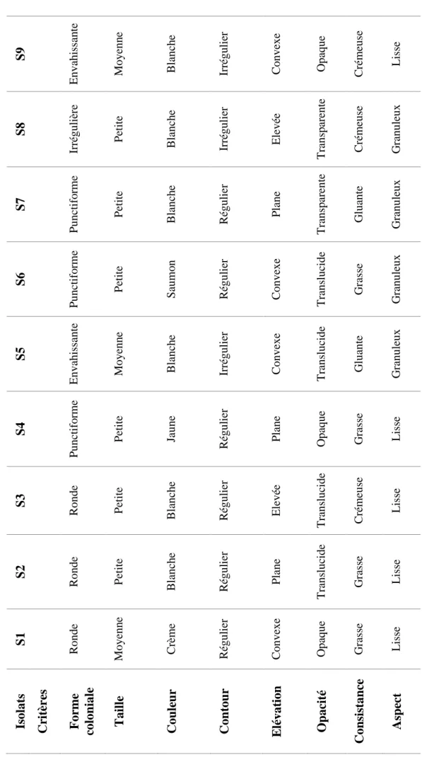 Tableau 6. Observation macroscopique des neuf isolats. 