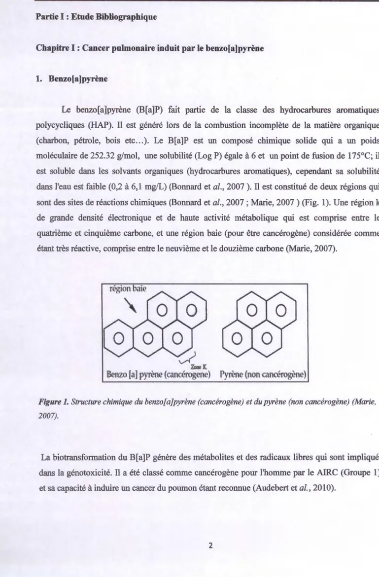 Figure  1.  Structure chimique du benzo[ a]pyrène (cancérogène)  et du pyrène (non cancérogène) (Marie,  2007)