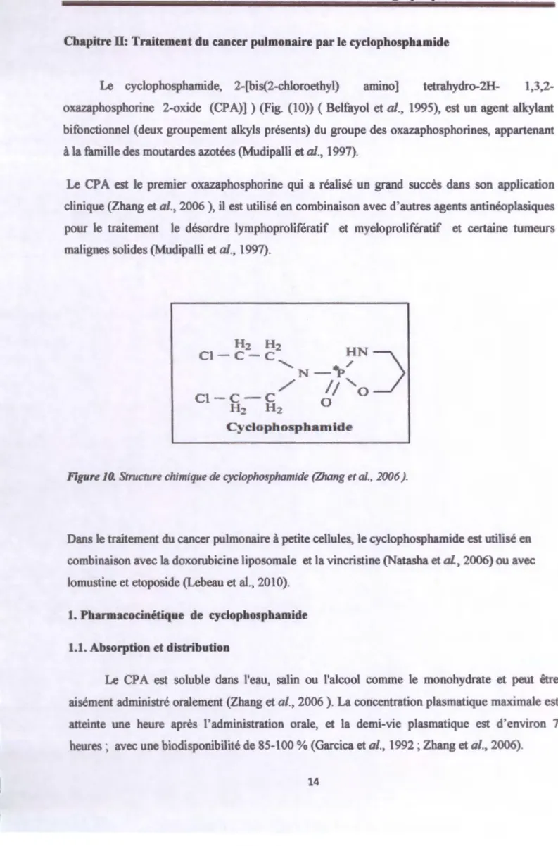 Figure JO.  Structure chimique de cyclophosphamide (Zhang et al. ,  2006 ) . 