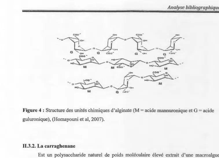 Figure 4: Structure des unités chimiques d ' alginate (M =acide mannuronique et G =acide  guluronique ),  (Homayouni et al,  2007)