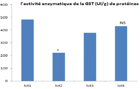 Figure 10 :  Variation des taux de GST après traitement par EthOH/Hcl, EthOH/Hcl + l’extrait BE de la plante et par  l’extrait BE tout seul à la dose 100mg/ml 