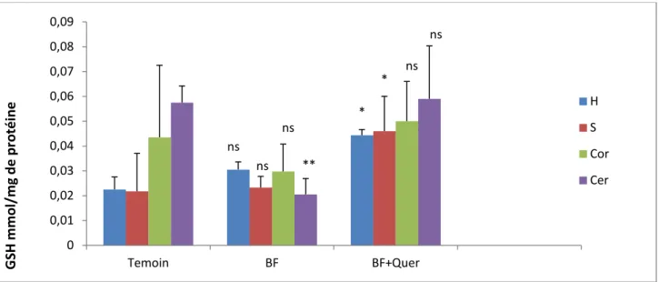 Figure  11:  La variation du taux de GSH mitochondrial sous l’effet de la BF  associée ou non à la  quercétine  dans différentes régions du cerveau.(H : Hippocampe, S : Striatum, Cor : Cortex, Cer :  Cervelet, Quer : Quercétine).