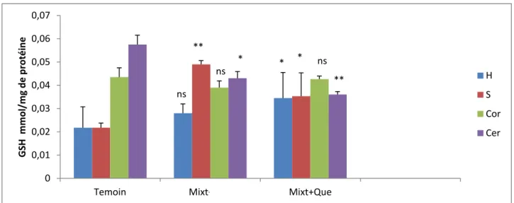 Figure 13 : La variation du taux de GSH  mitochondrial sous l’effet de la mixture associée ou non à  la  quercétine  dans  différentes  régions  du  cerveau
