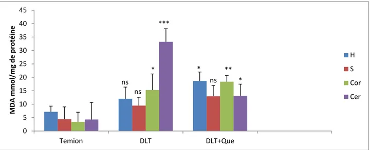 Figure 15: La variation du taux de MDA mitochondrial sous l’effet de la DLT associée ou non à la  quercétine dans  différentes régions du cerveau
