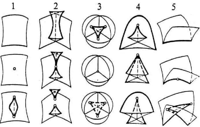 Figure 4 : Les 5 types de métaphorphoses génériques de fronts donde (extrait de [1])