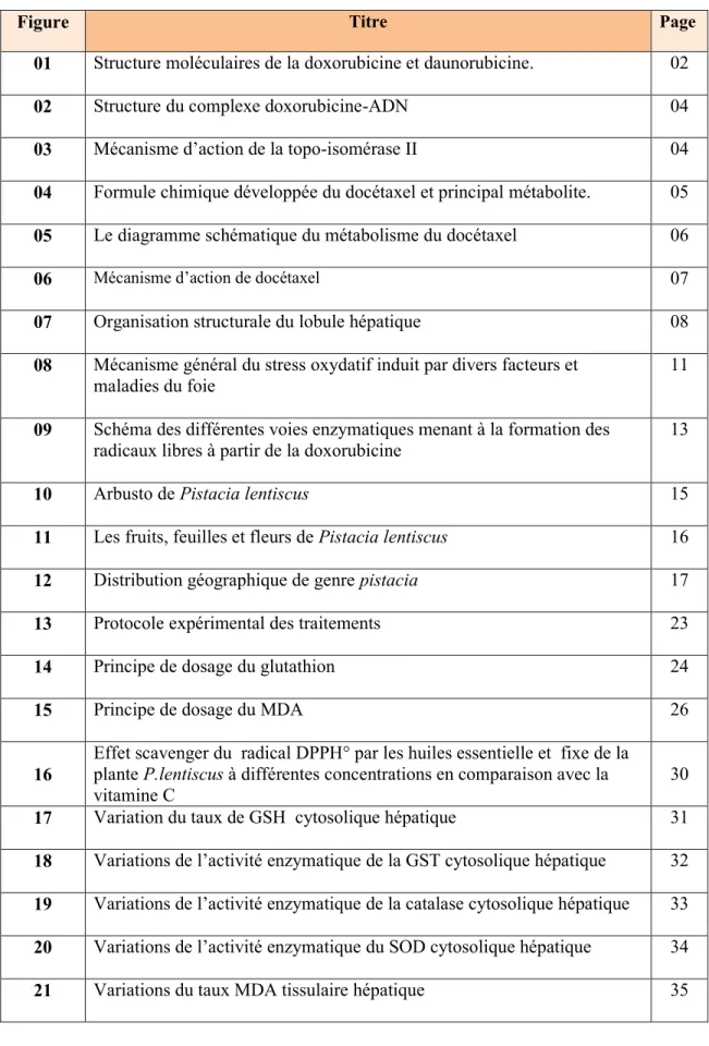 Figure Titre Page