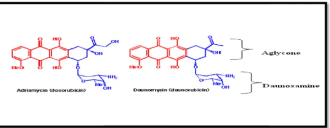 Figure 01 : Structure moléculaires de la doxorubicine et daunorubicine (Hortobàgyi, 1997).