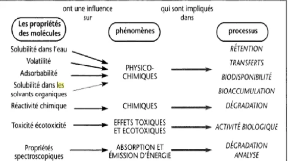 Figure 02: Relations générales entre les propriétés des molécules, les phénomènes    correspondant et les processus contentés (Calvet, 2005)
