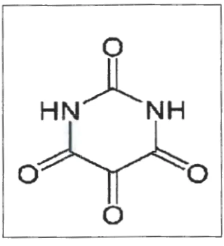 Figure 8 :  structure chimique de l' alloxane ( 59 ). 