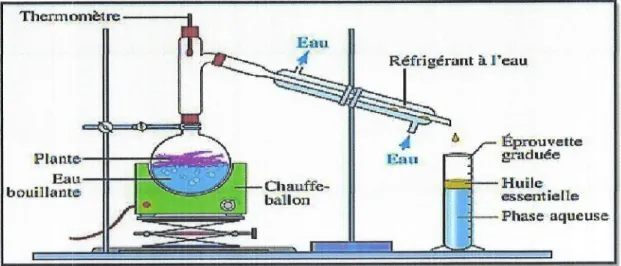 Figure  8.  Principe  de  I'extraction  des  FIEs  par  hydrodistillation  (Lucchesi,  2005).