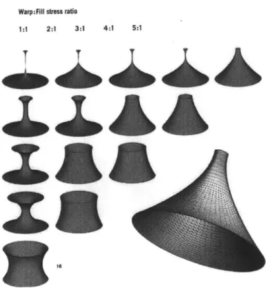 Figure  14:  Varying  membrane  forms  resulting  from different  preset  stress  values  in  the  warp  and  fill  directions and slightly  altering geometries  (Koch  et al.,  2004)