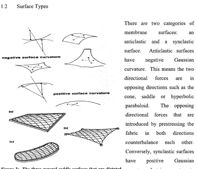 Figure 3:  The  three general  saddle  surfaces  that  are dictated by  its  linear  (a),  catenary  (b)  or  curving  boundary  (c) (Huntington,  2004)