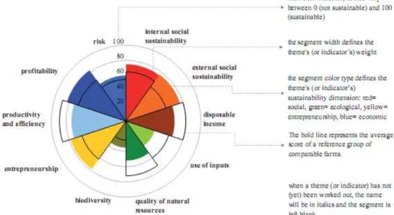 Figure 6. Pie-radar graph used to visualize MOTIFS output and interpretation guidelines (source Meul et al., 2008)