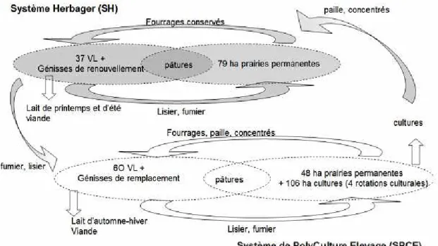 Figure  8.  Functioning  of  the  two  bovine  milk  systems  conducted  at  the  experimental  farm  of  INRA-Mirecourt:  a  grazing  system  (SH)  and  a  cropping-breeding  system  (SPCE)  complementary  at  the  local  territory  scale  (source: 