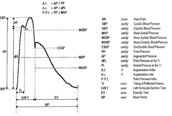 Figure  13  :  Principaux paramètres  vasculaires  obtenus par  le systèmePulsePenB et calcul  de  l'index d'augmentation