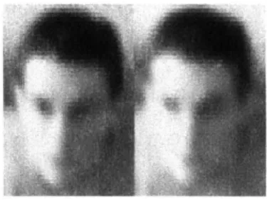 Figure  3-7:  Template  of Head  From  Left  and  Right  Image