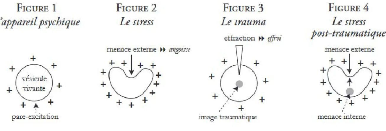 Figure 1 : L’appareil psychique est représenté comme un volume sphérique contenu dans une  membrane chargée d’une énergie positive qui le protège des agressions extérieures