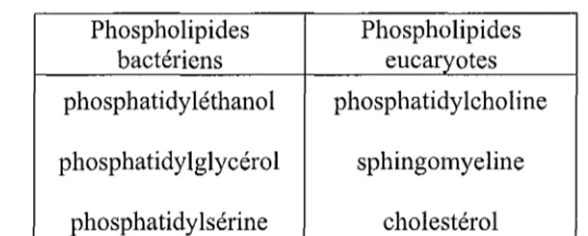 Tableau nO 3 : Hétérogénéité des phospholipides de membrane de Chlamydia.