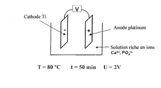 Fig. 18 : Surface en titane avant recouvrement.
