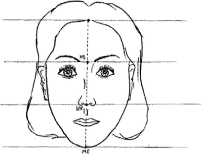 Figure 11 : Conception de l'égalité entre les trois étages de la face. Le frontal, le nasal, le buccal