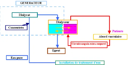 Figure 1 : Schéma d'un système d'hémodialyse 