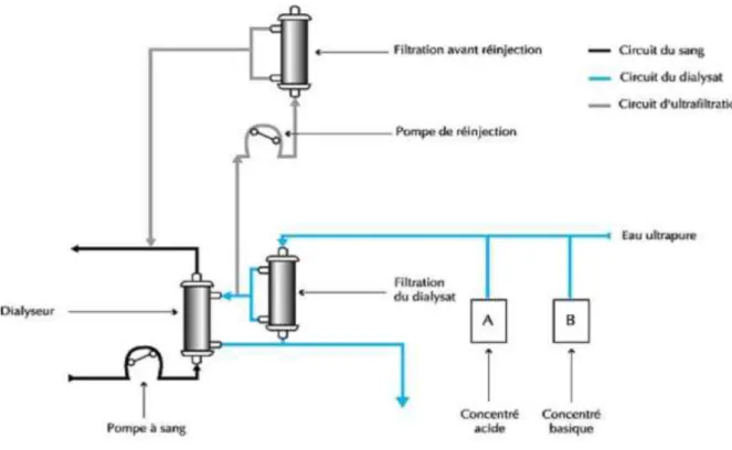 Figure 3 : Schéma d'un système d'hémodiafiltration en ligne [9] 