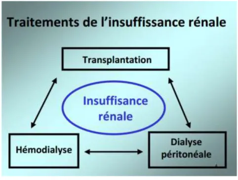 Figure 12 : Transferts entre traitements de suppléance 