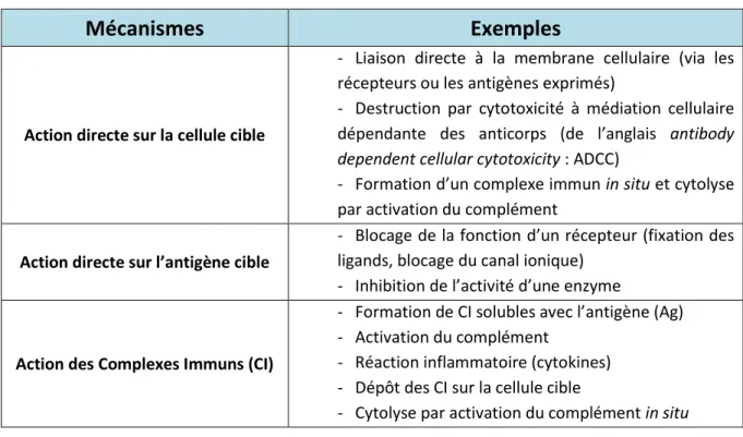 Tableau 1: Principaux modes d’action pathogène des auto-anticorps