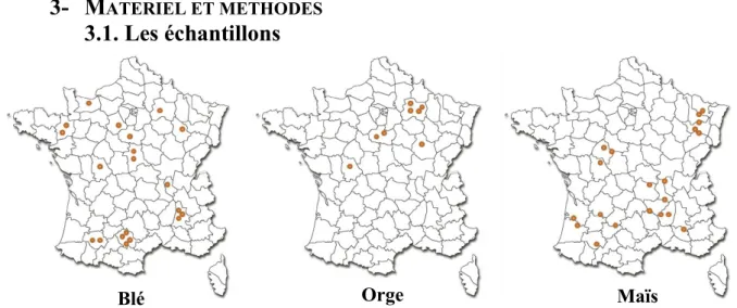 Figure 11 : Répartition des échantillons de grains utilisés pour l’étude 