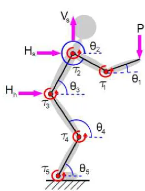 FIGURE 3: BIOMECHANICAL MODEL OF THE HUMAN  AND SRL. POSITIVE CONVENTIONS FOR ANGLES, 