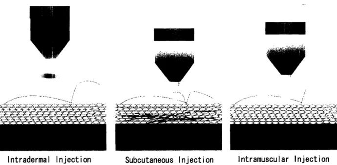 Figure 1: Needle-free injections are targeted at three different tissue depths: intradermal, subcutaneous and intramuscular (drawing courtesy of David  Lui).
