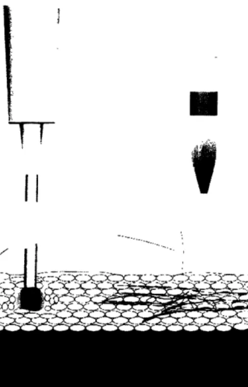 Figure 2: Injection with a hypodermic syringe results in a bolus at the tip of the needle, whereas injection with the NFI device shows a  wider dispersion pattern (drawing courtesy of David  Lui).
