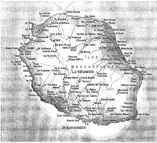 Figure 2: carte de l'île de la Réunion