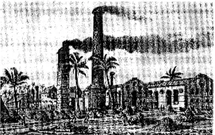 Figure 4 : usine de canne à sucre du Quartier Français
