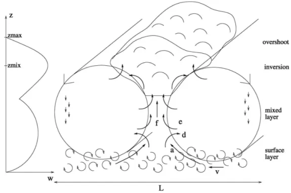 Figure 2.7 – Sch´ ema du thermique associ´ e ` a la vitesse verticale w th : repr´ esentation de la turbulence diffusive dans la couche de surface et des structures organis´ ees dans la couche de m´ elange