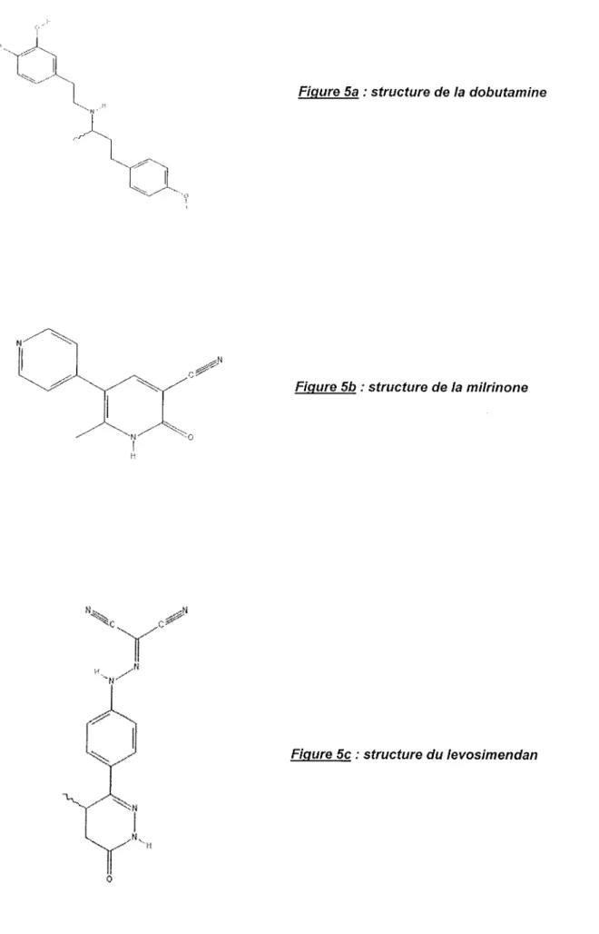 Figure 5a :  structure  de la dobutamine 