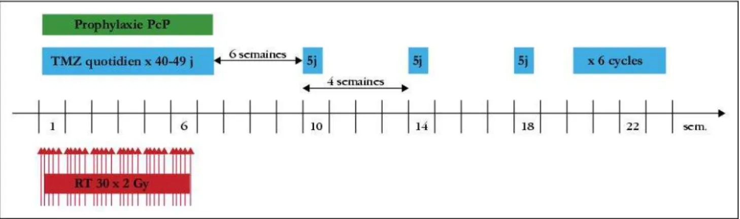 Figure 1 : Traitement combiné des glioblastomes selon EORTC-NCIC (4).