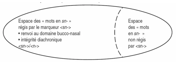 Figure 8. Décomposition de l’espace des mots en sn- : superposition des critères synchronique et  diachronique 381