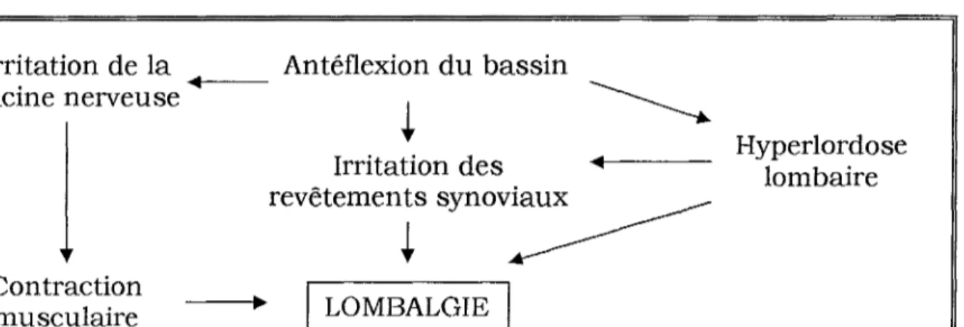 Tableau IV - Mécanisme des lombalgies au niveau de la charnière lombo- lombo-sacrée.